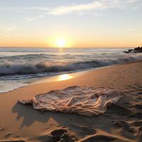 Mares Armónicos: Tonos Musicales Serenos Con Olas Relajantes