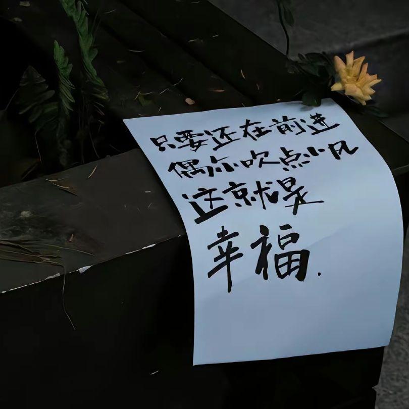 菊次郎的夏天（纯钢琴）封面
