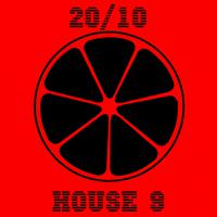 20/10 House, Vol. 9