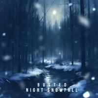 Night snowfall