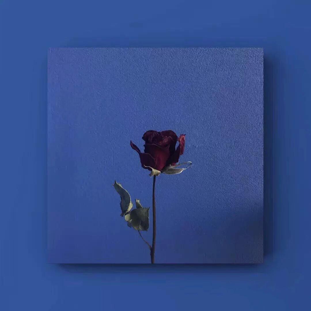 总有一天你会出现在我身边(万人合唱版)