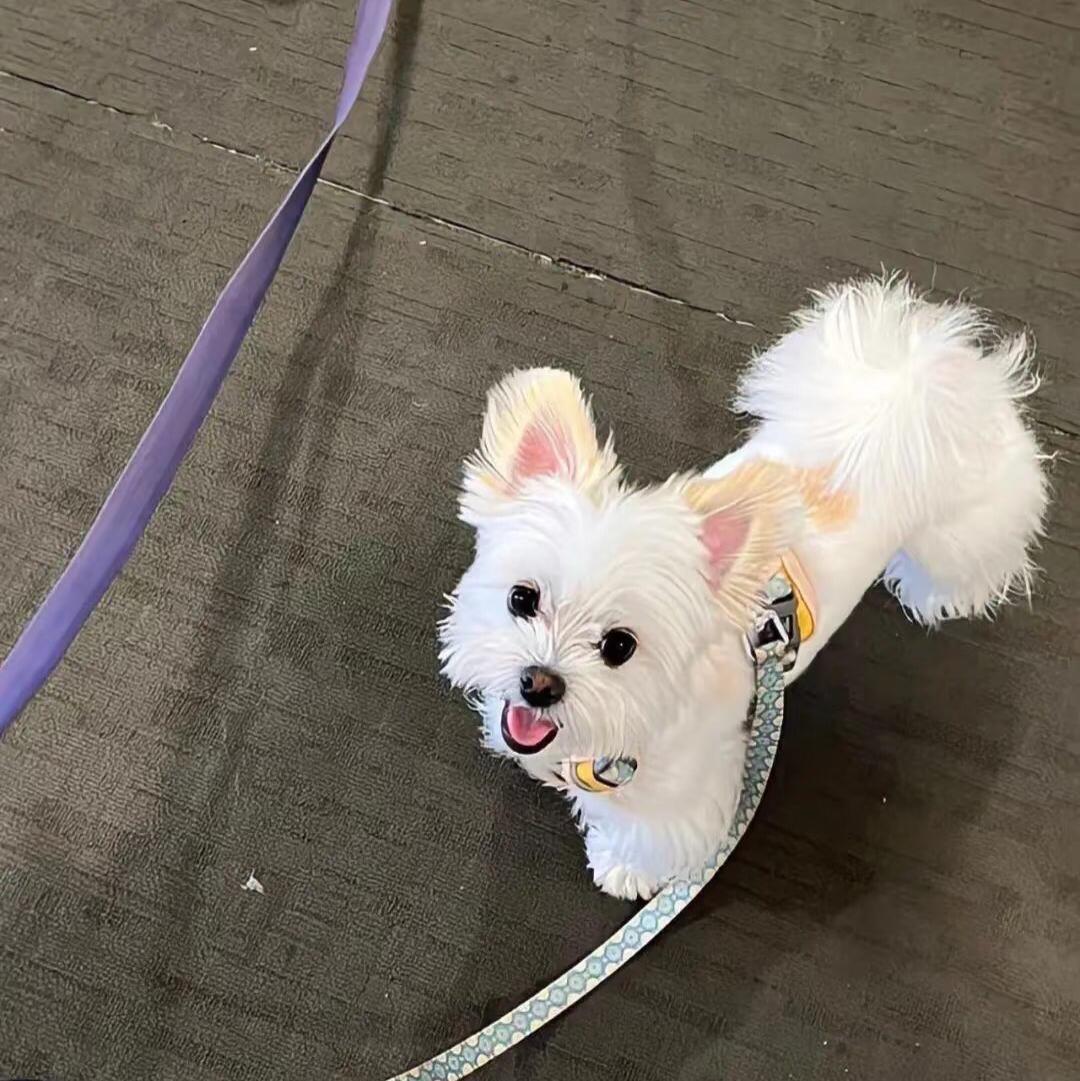 浴室歌王 能忍住不唱算我输