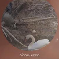 Vacuousness