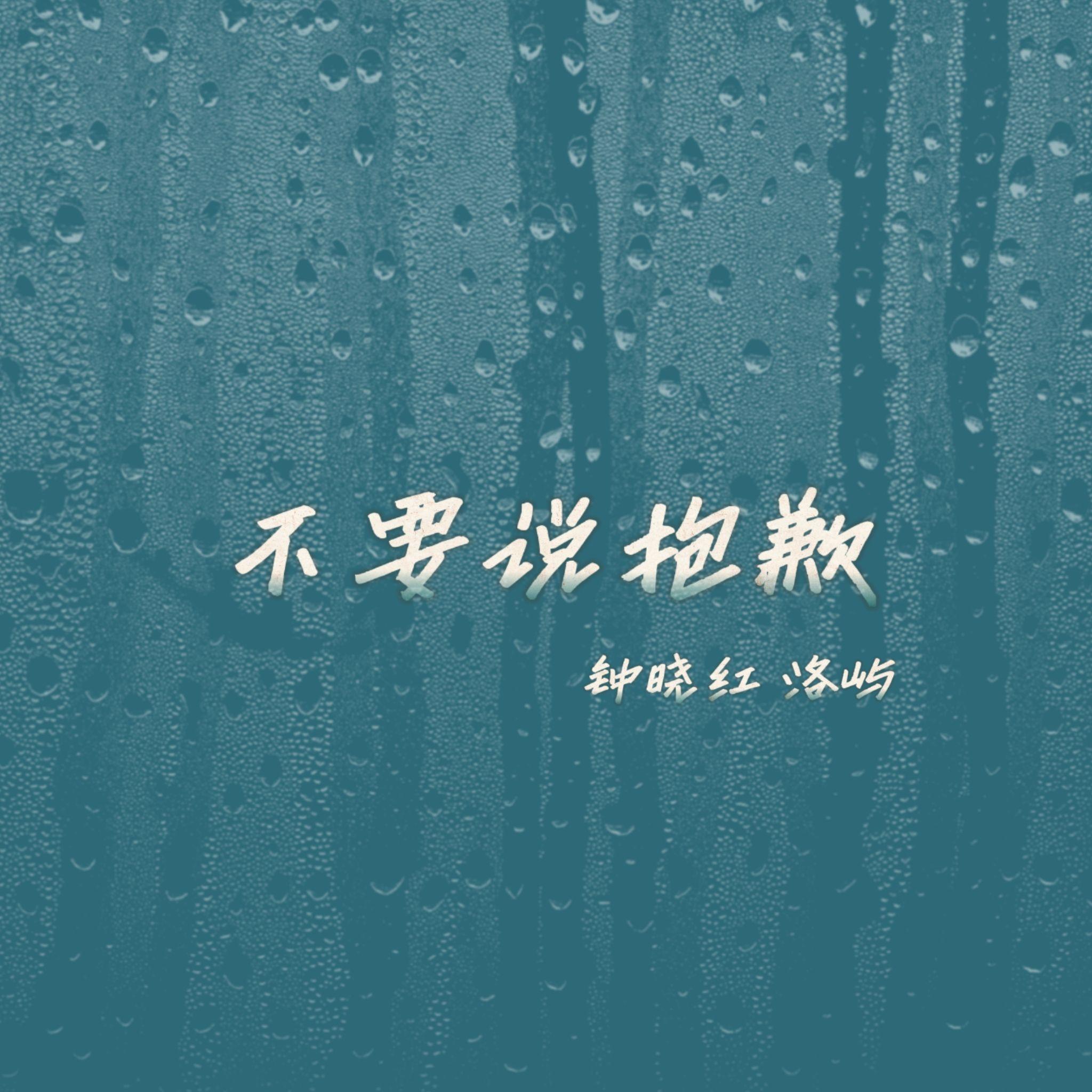 不要说抱歉（摇滚版）封面