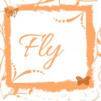 Fly