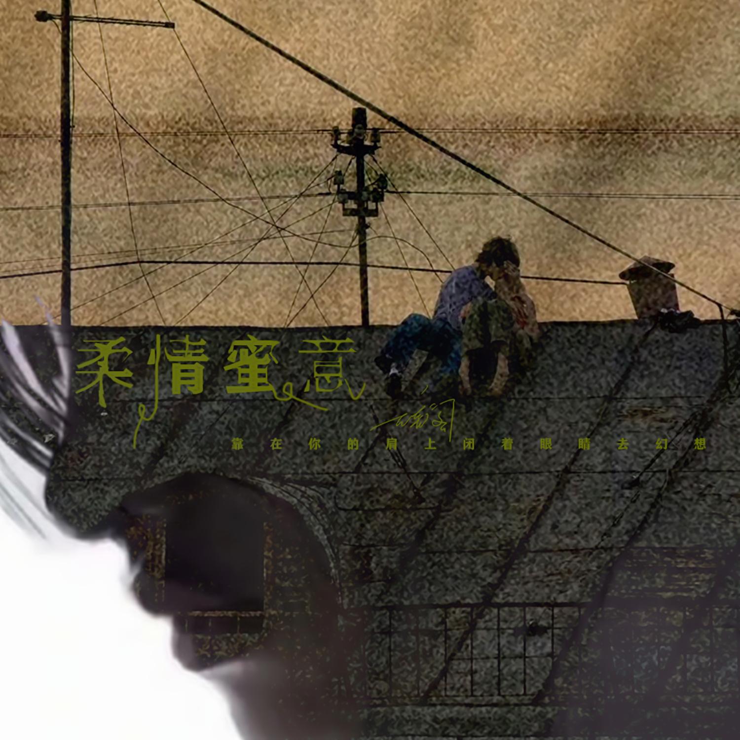 柔情蜜意封面