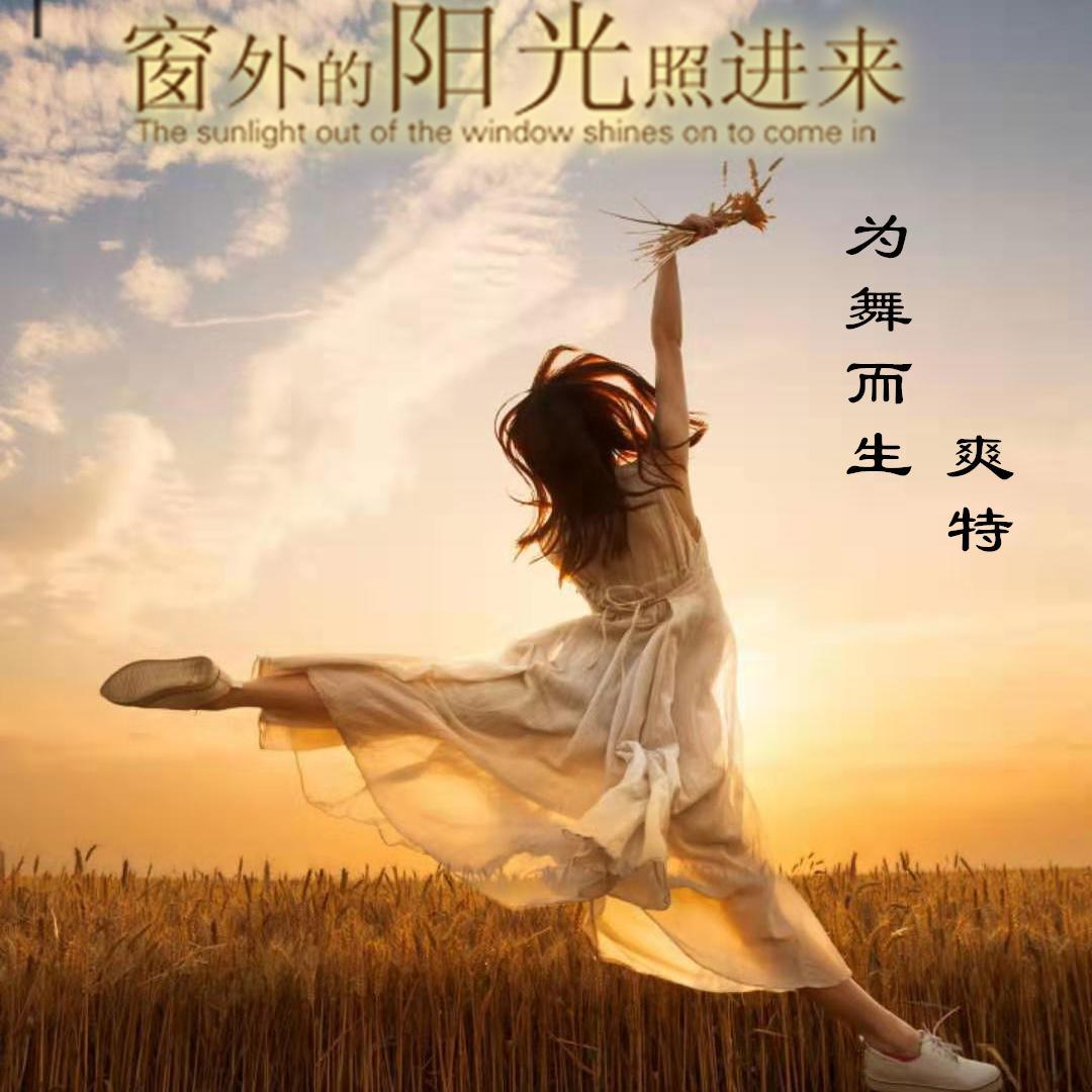 芭蕾舞练习曲（钢琴纪念版） - 爽特封面