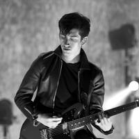 Alex Turner