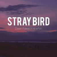 Stray Bird