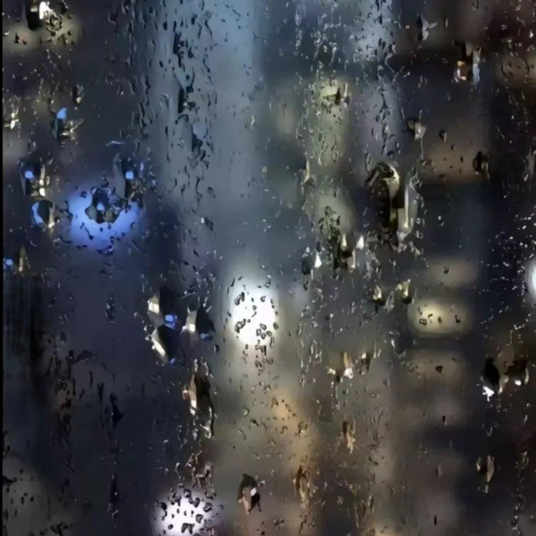 月光告白封面
