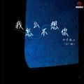 我怎么不想你(DJ豪大大版)