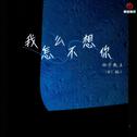 我怎么不想你(DJ豪大大版)专辑