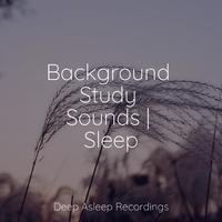 Background Study Sounds | Sleep