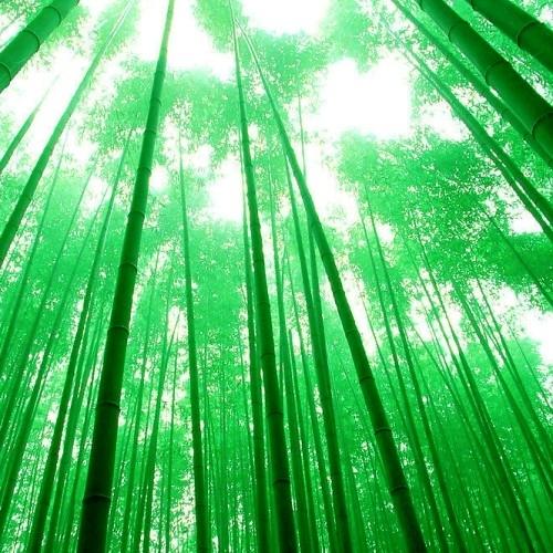 《超好听的背景纯音乐精选系列》 之 【天籁