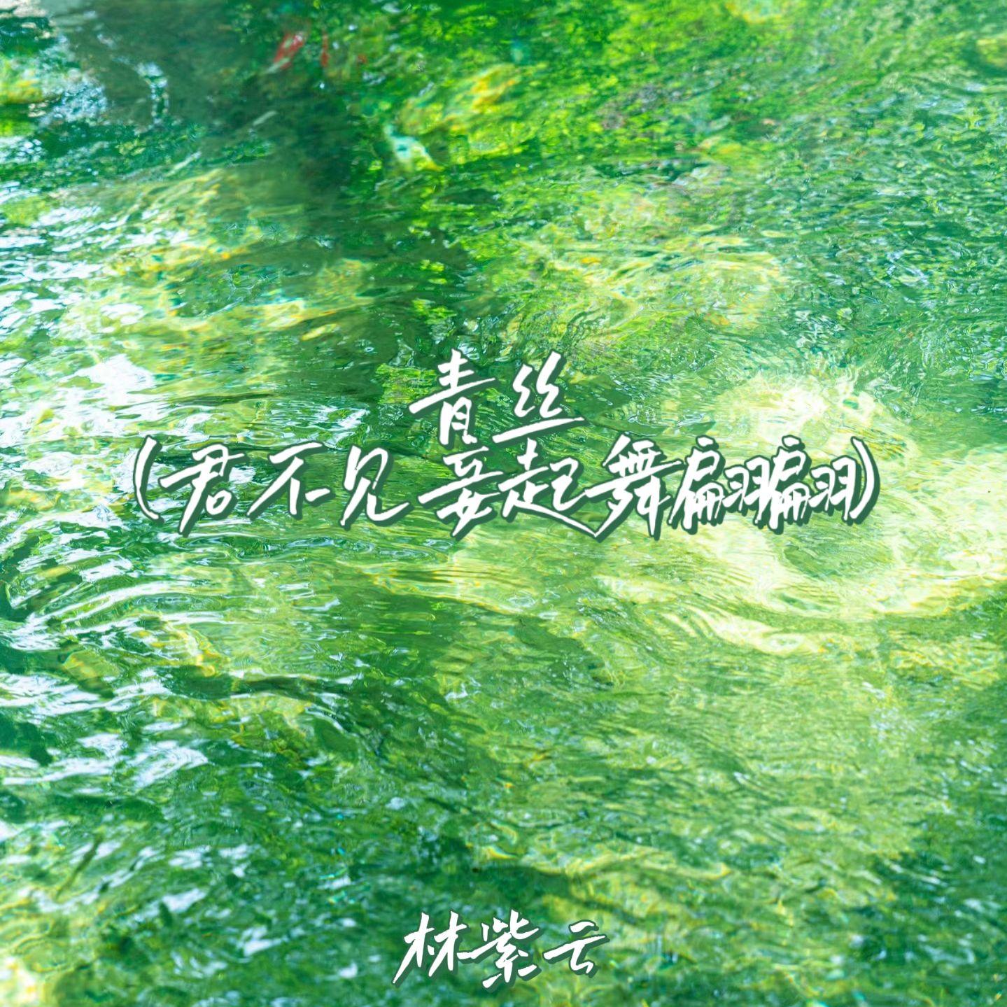 青丝(君不见妾起舞翩翩)封面