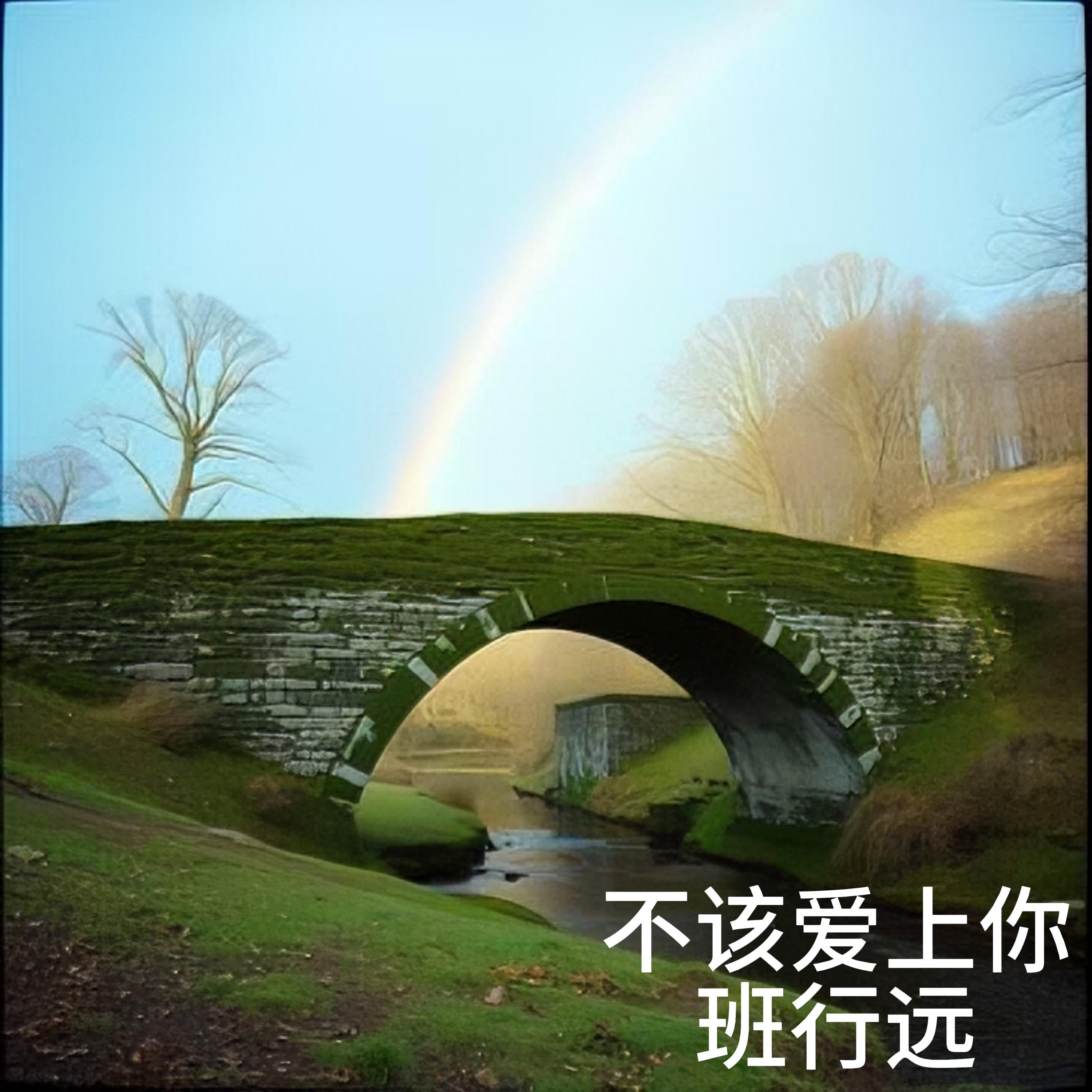 一双会说话的眼睛封面