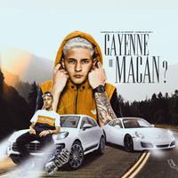 Cayenne ou Macan