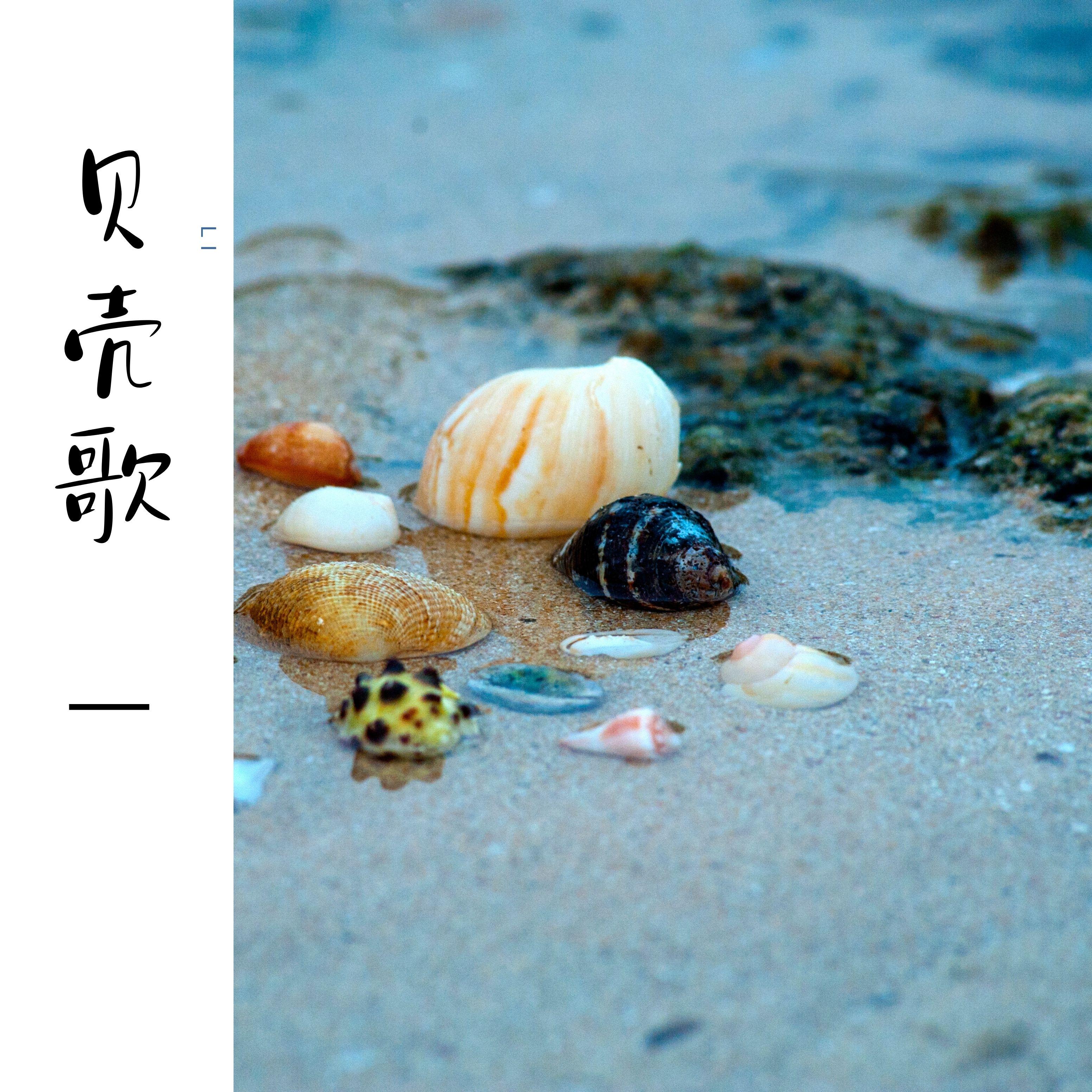 轻舟暖渡 (吉他)