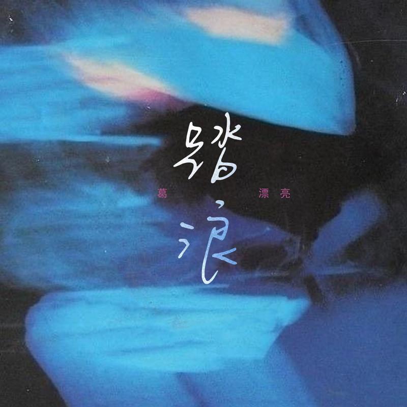 踏浪 (伴奏)封面
