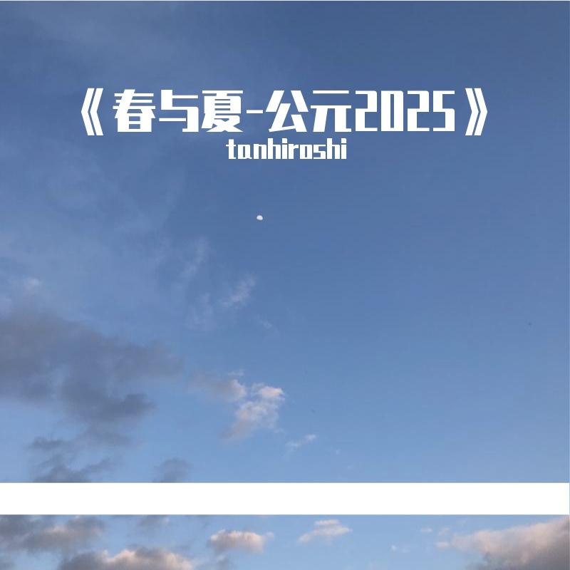 《我愿这样跳一支舞》封面