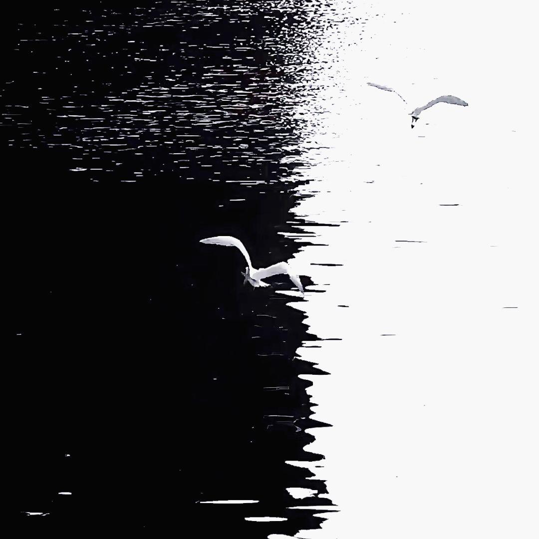 又过了一天专辑