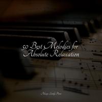 Calm & Spiritual Harmonious Music