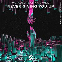 Never Giving You Up