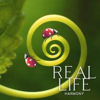 Real Life Harmony