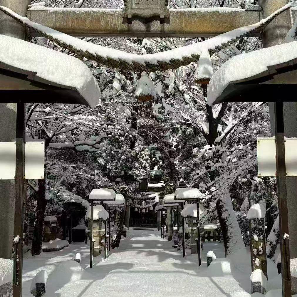 眉间点雪（prod.Averatec x FlashFunki)