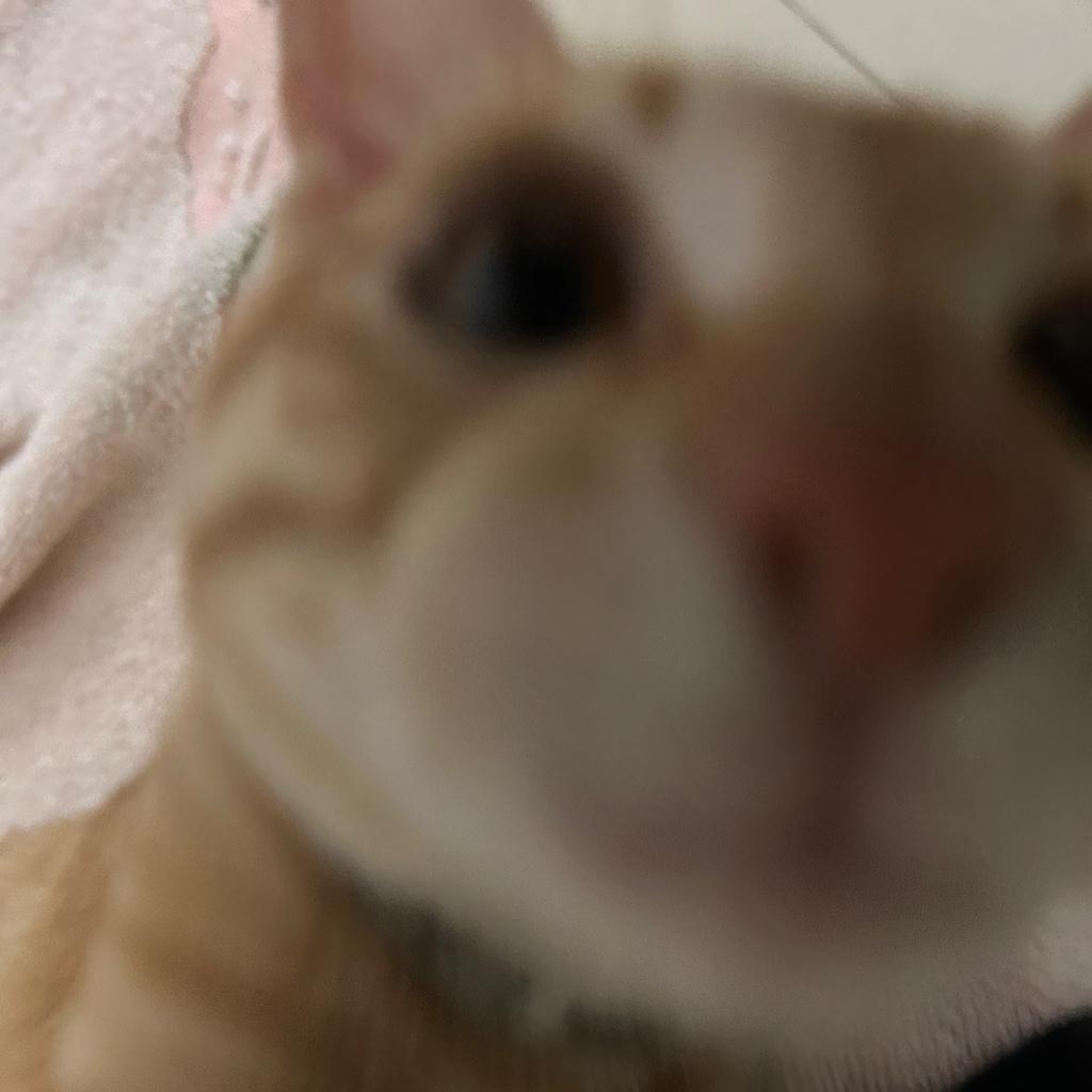 换你来过我的苦逼生活