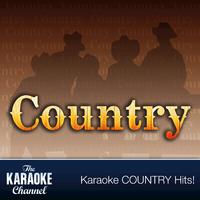 The Karaoke Channel - Country Hits of 1993, Vol. 22
