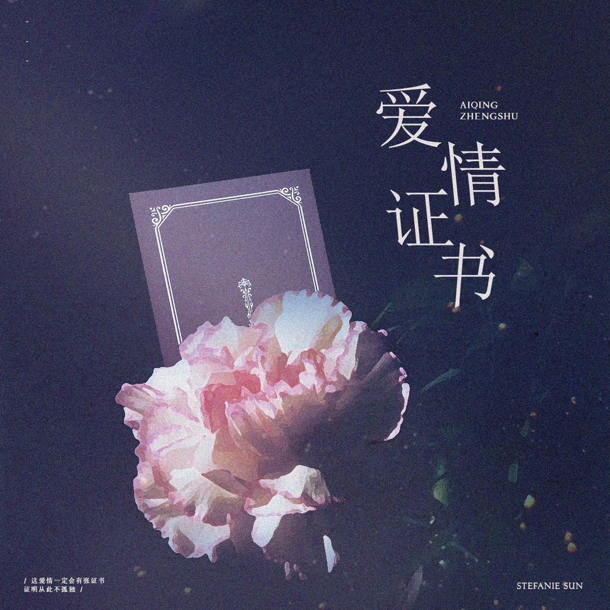 ֤爱情证书封面