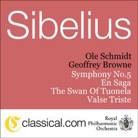 Jean Sibelius, Symphony No. 5 In E Flat Major, Op. 82