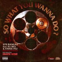 So What You Wanna Do (feat. Vinnie Paz)