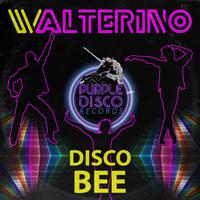 Disco Bee