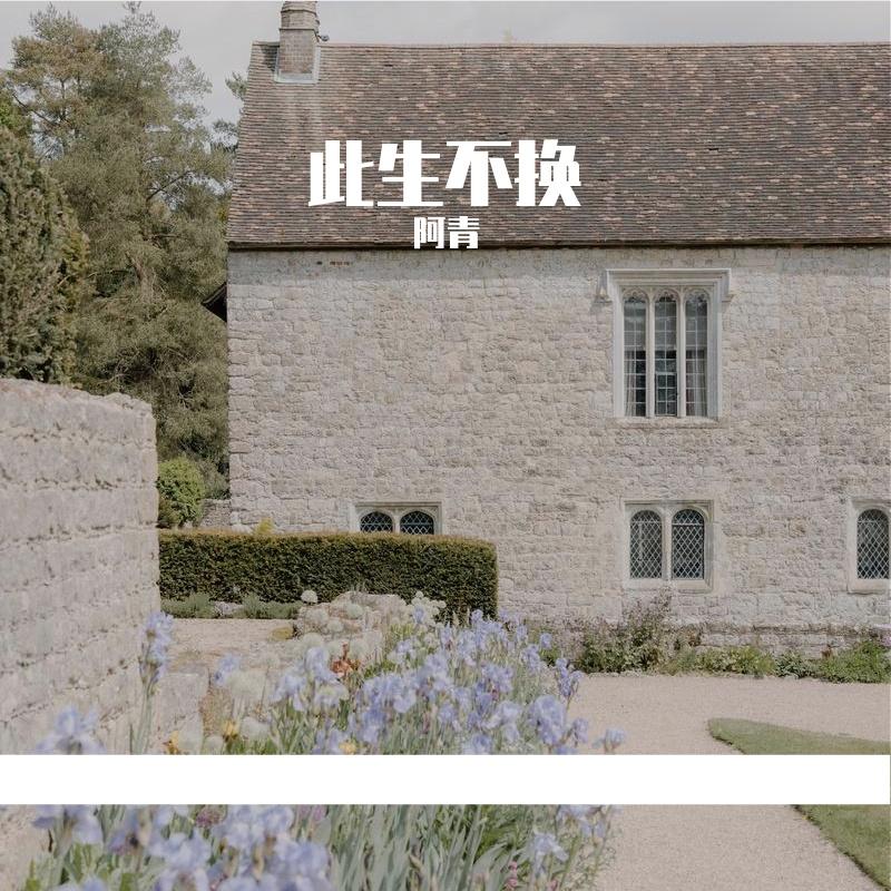 过往成云烟封面