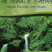 Sounds Of Nature