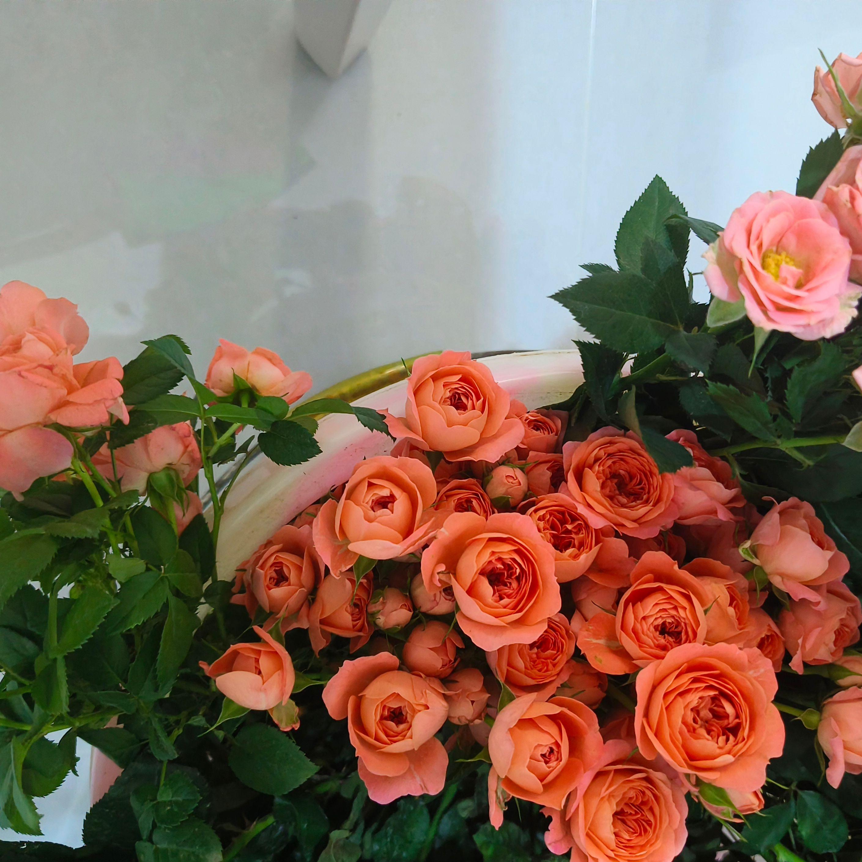 那女孩对我说-原唱：黄义达