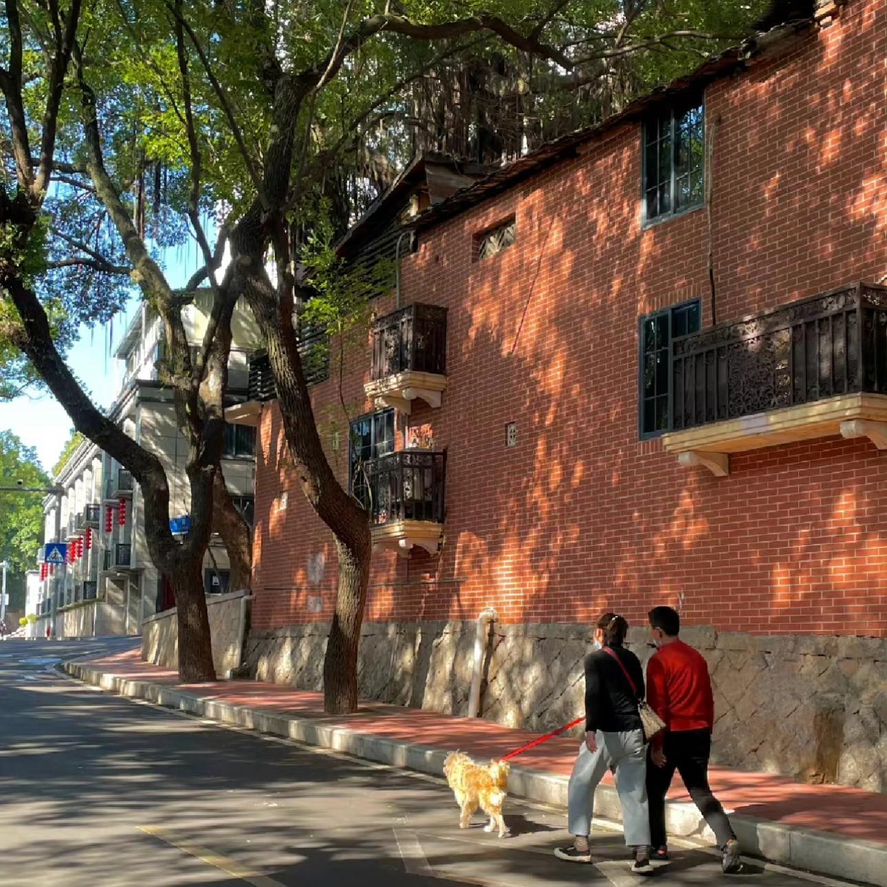 解压方式：散步 阅读 晒太阳 不联系