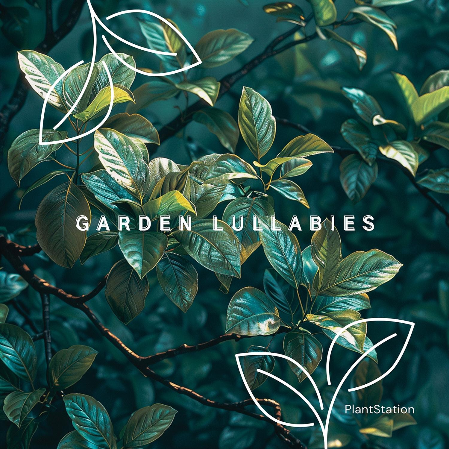 Relaxing Vibes for Your Room