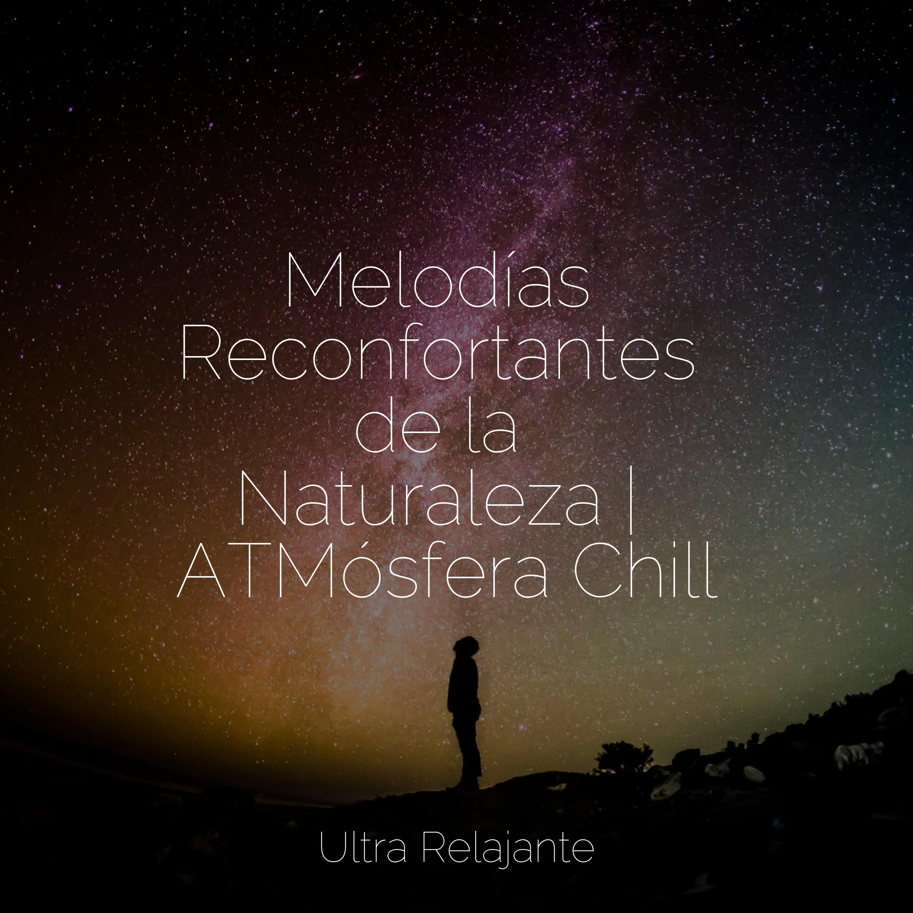 Hamaca En Los Árboles