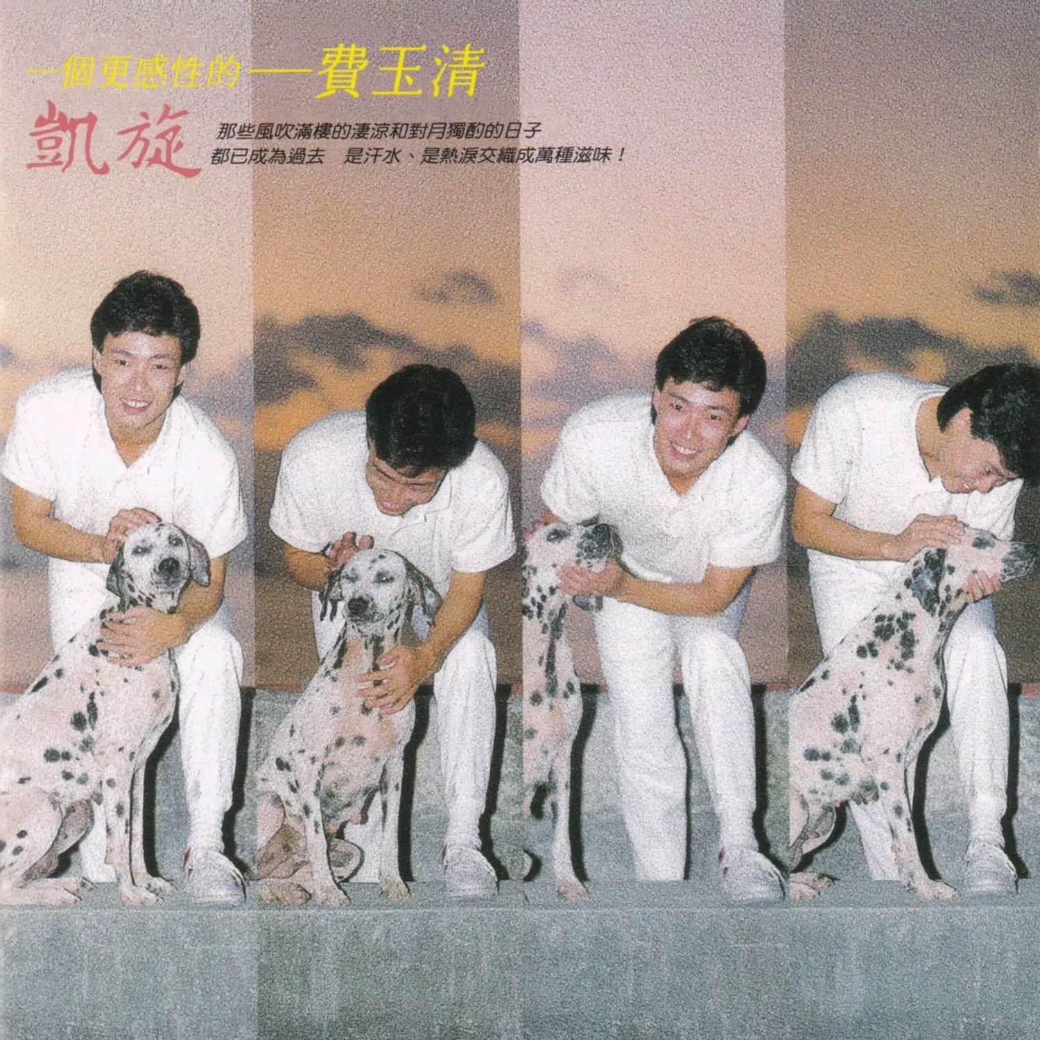 拨动尘封的琴弦封面