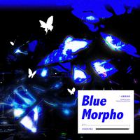 Blue Morpho（蓝闪蝶）——《无限旅游团》卫洵角色同人曲