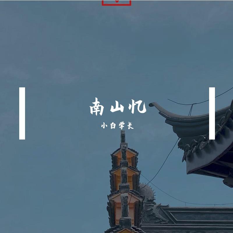 南山忆（cover：vae）封面