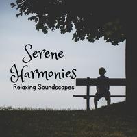 Serene Harmonies: Relaxing Soundscapes