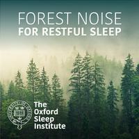 Forest Noise for Restful Sleep