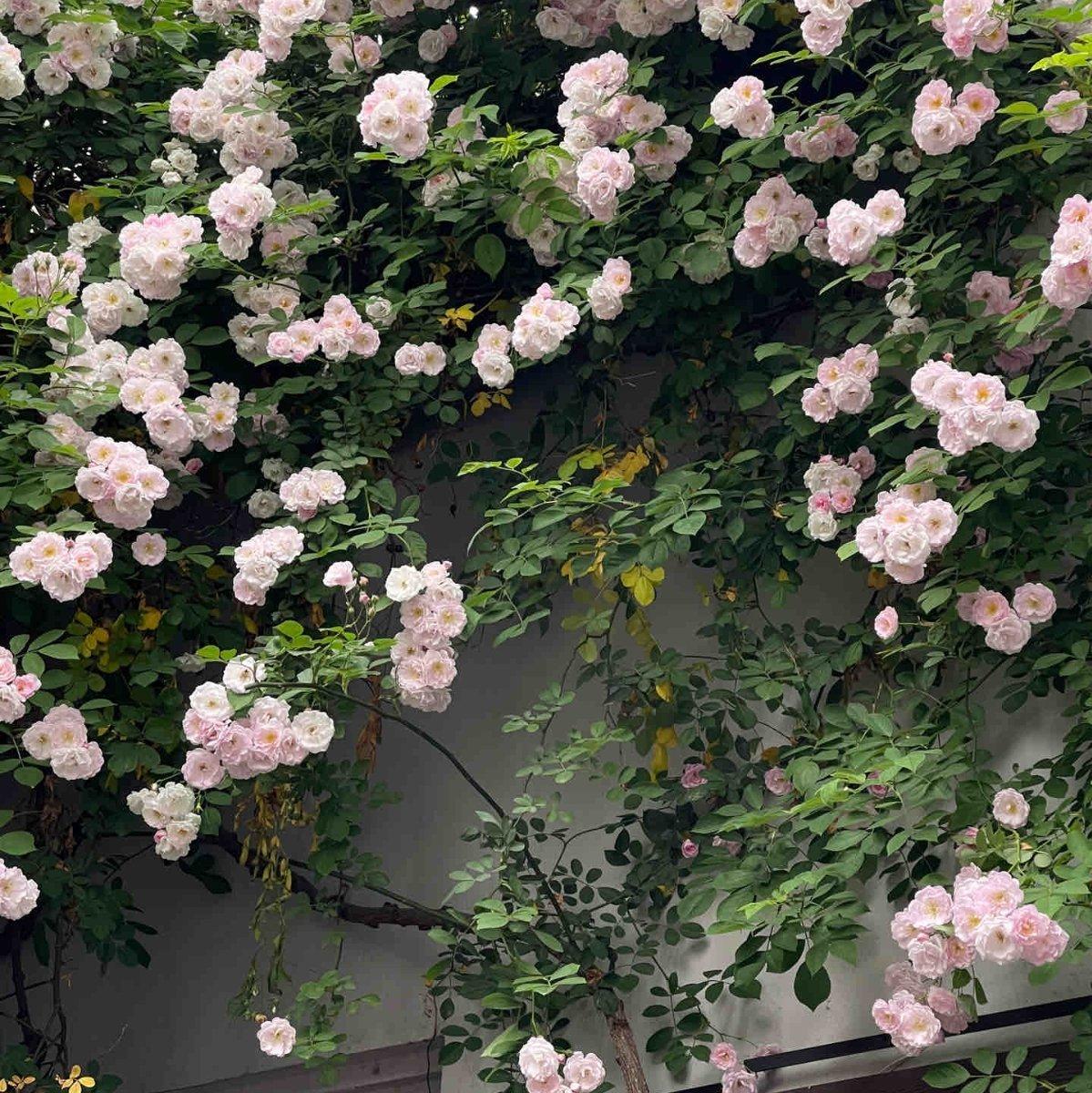 欧美 | 放轻松点生活 你没那么多观众