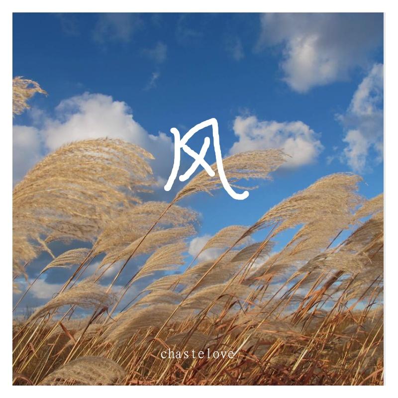 像风一样（Cover 薛之谦）封面