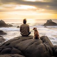 Día Del Perro Junto Al Océano: Sonidos Relajantes Del Mar Para Caninos