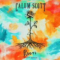 Roots (Acoustic Version)